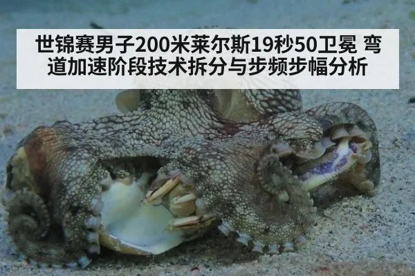 世锦赛男子200米莱尔斯19秒50卫冕 弯道加速阶段技术拆分与步频步幅分析